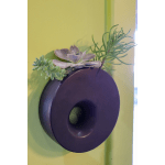 Succulent Garden in Wall Hanging Planter