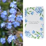 Greeting Card with Seed Packet | Forget-Me-Not Seeds