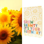 Greeting Card with Seed Packet | Sunflower Seed Mix