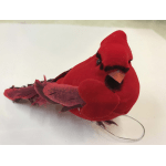 Red Cardnial