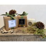 Torrey Pines Candle - Grapefruit, Citrus & Evergreen - 100% Hand-Poured Soy