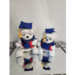Graduations Bear