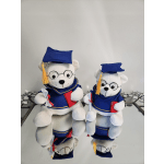 Small Graduation Bear 10"
