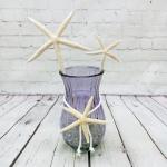 Starfish Pick- Large