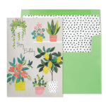 Plant Birthday Card
