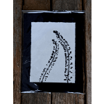 Original Botanical print