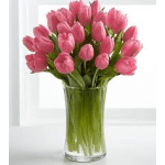 pink tulips