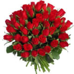 wow red roses