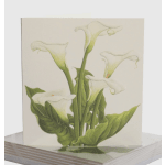 Calla Lily Sympathy greeting Card