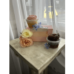 Blue Pig 2-Pack Cupcakes