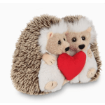 Lovie & Dovey the Hedgehogs