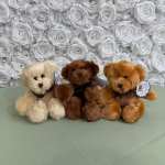 Mini Teddy Bears