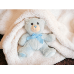 Small blue teddy bear