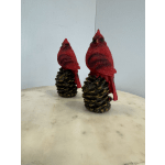 Cardinal on Pinecone