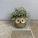 Owl with Baby’s Breath