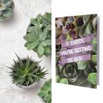 Greeting Card with Seed Packet | Large Variety Succulent Seed Mix