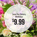 Same Day Delivery Weekdays