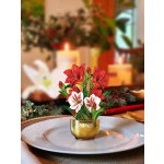 Mini Scarlet Amaryllis Pop-Up Card