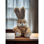 Teddy Bunny