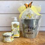 Petite Lemon Basil Gift Basket