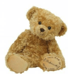 Teddy Bear