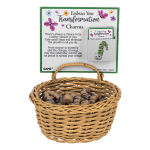 Caterpillar Pocket Charm