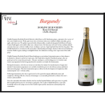 Chablis Chardonnay 2023 AOC Henri de Bareuil