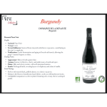 Bourgogne PInot Noir AOC 2023