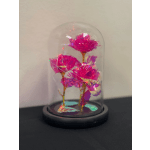 Pink Three Roses Dome