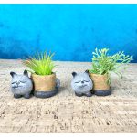 Thumb-Sized Sleeping Kitty Planter