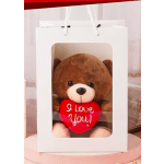 I Love You Teddy Bear in Gift Bag