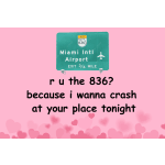 Literally Miami Postcard: 836