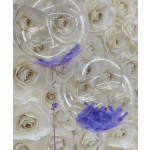 Bubbles with purple feathers