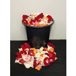 Assorted Coloured Rose Petals by Chasing Petals