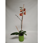 beautiful Orchard in an glass vase.