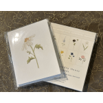 Emily Lex Studios Flower Garden Notecards: 1 package of 8 assorted notecards with envelopes