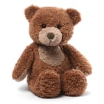 Bear Stuffed Animal (Large)