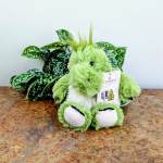 Dino-Green Warmies