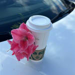 Sorpresa de café caliente