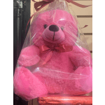Pink / Purple Teddy