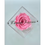 Everlasting Rose - light pink