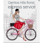 Timed Delivery Service