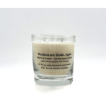 The Elves are Drunk...Again 9oz candle