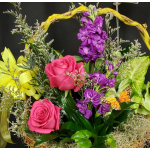 FRESH CUTS - ADD TO DISH GARDENS OR PLANTS