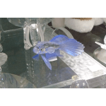 SWAROVSKI CRYSTAL FIGURINES