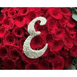 Baby’s Breath Letters/Numbers