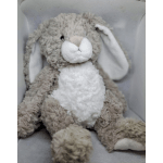 Gray floppy ear bunny