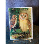 Wintry Owl Card