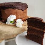 Smile in a Slice ( Slice of Chocolate Cake)