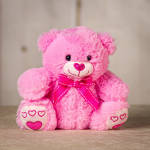 Pink Valentine Bear 8.5"